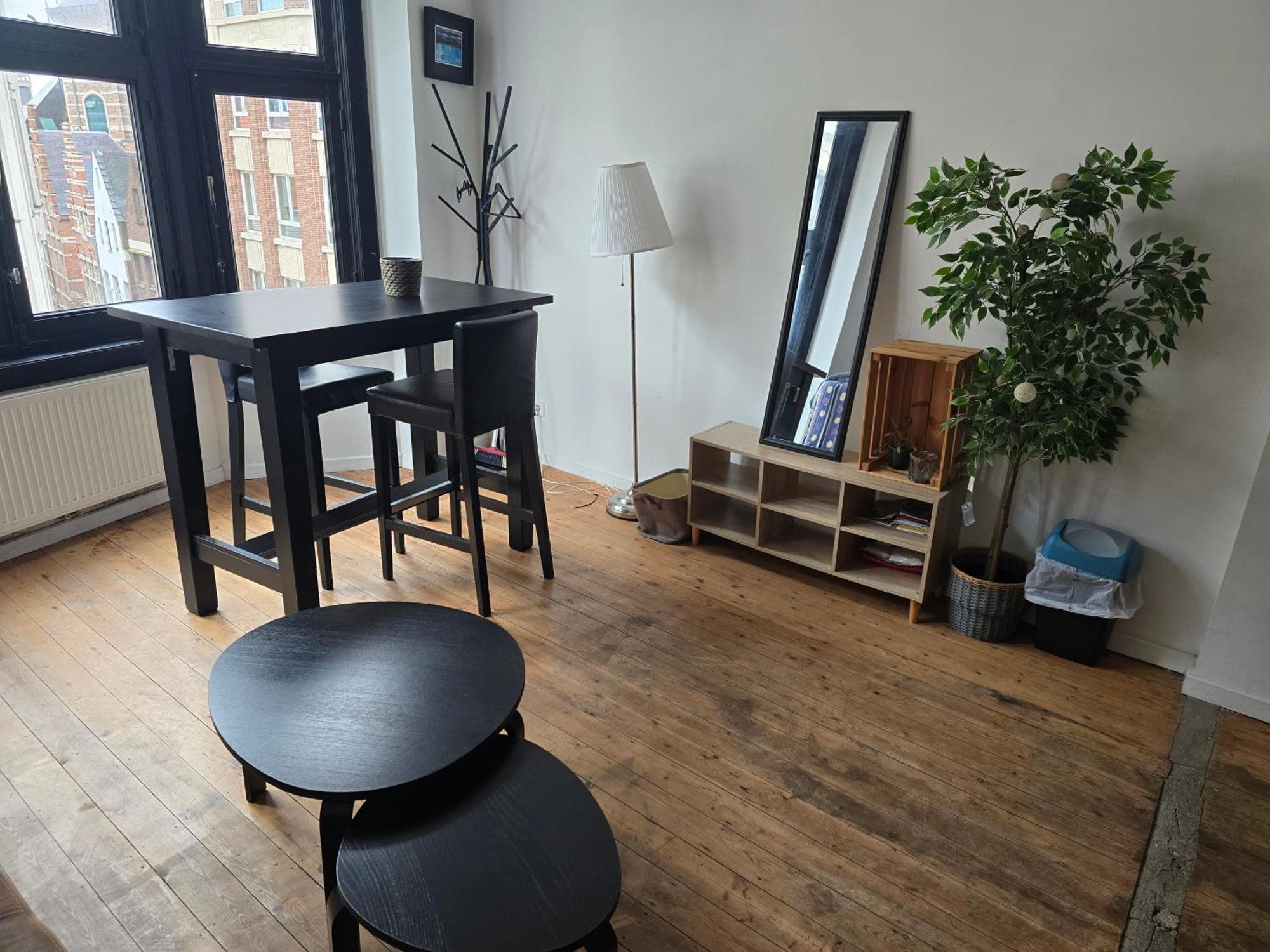 Den Gulden Hoorn Apartment Antwerp Exterior photo